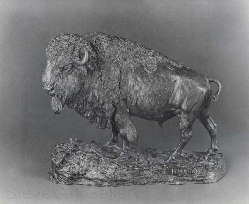 Henry Merwin Shrady Buffalo